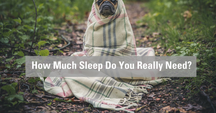 How Much Sleep Do You Really Need?